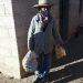 Entregan kits sanitarios y unidades alimentarias a adultos mayores