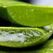 Crea tu propio Jabón de aloe vera y dile adiós a las arrugas y al acné