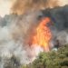 Incendios forestales: solo en el mes de agosto se quemaron más de 100 mil hectáreas en Jujuy