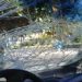 Acoso callejero: la insultó desde el auto y ella le rompió el parabrisas de un piedrazo