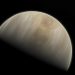 Cómo encontrar vida en Venus