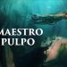 5 Documentales que no te podes perder en NETFLIX