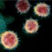¿Cual es la nueva ruta que encontró el coronavirus para infectarnos?