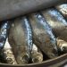 Esta es la cantidad de omega-3 que necesitas tomar al día para alargar tu vida