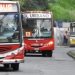 Paro de tres empresas de transporte urbano