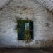 Una galería argentina con obra de artistas emergentes elogiada en la feria Photo London Digital