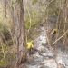 Se cumplió un mes del inicio del fuego en el Parque Nacional Calilegua
