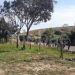 Tensión en la frontera entre Venezuela y Brasil por ejercicios militares entre uniformados rusos y las fuerzas del régimen chavista