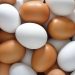 Cuántos huevos puedes comer para tener un dieta sana