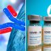 Dos avances científicos ilusionan al mundo con la posibilidad de encontrar una cura para el coronavirus