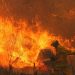 Triste récord en Argentina: el 2020 es el año con más focos de incendios