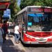 Unión Bus continúa con abstención de tareas