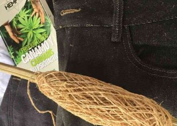 Hiladores de Sogamoso, listos para producir ropa con cáñamo de cannabis