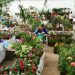 La tercera edición de "Jujuy en Flor" se realiza en Alto Comedero