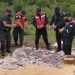 Secuestro y destrucción de pirotecnia sonora