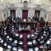 Empieza en el Senado el debate y la votación sobre la legalización del aborto