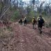 Lograron extinguir todos los focos en la temporada más crítica de Incendios Forestales que hubo en Jujuy
