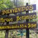 Rescataron un Tucán