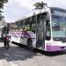 El Mercado Sur Municipal abrió sus puertas: qué colectivos llegan hasta allí