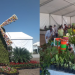 Inauguración de la 3º edición de "JUJUY EN FLOR"