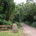 El Parque Nacional Calilegua, tras los incendios forestales y el parate por la pandemia, vuelve a recibir visitantes
