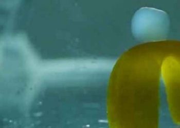Científicos crearon un robot que no necesita de electricidad o hardware interno para moverse