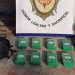 Secuestraron más de 8 kilos de cocaína valuados en 5 millones de pesos