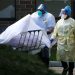 El mundo se acerca a los 2 millones de muertos por coronavirus