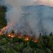 Río Negro: un incendio fuera de control ya arrasó con más de 6.500 hectáreas