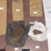 Golpe al Narcotráfico en Perico
