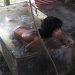 Paraná: Se bañaba en una heladera y una familia le regaló una pileta de lona