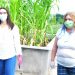 Inscriben para talleres de huerta on line