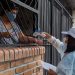 Jujuy registró 4 muertes y 17 casos nuevos de coronavirus este lunes