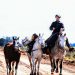 Renunció a su trabajo en un banco y hace seis meses recorre el país con sus tres caballos: “Conocí la Argentina que no me mostraron en la tele”