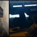 Incautaron 200 kilos de hojas de coca en Tres Cruces