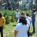 Farmacéuticos visitaron Cannava S.E. y expresaron su fuerte apoyo al proyecto estatal