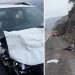 automovilista chocó contra un burro suelto que cruzó la Ruta 9