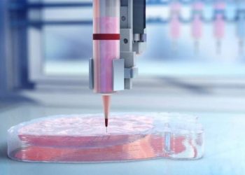 Impresión 3D y células musculares: la fórmula de los nuevos robots vivos