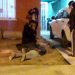 Vecinos de Palpala atraparon y lincharon a un ladrón