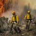 Día Internacional del Combatiente de Incendios Forestales