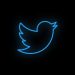 Twitter premium: suscripción con funciones especiales
