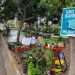 Mañana Sábado se realizará el 7* Paseo de Plantas en Monterrico