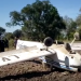 ACCIDENTE EN JUJUY: Cayó una avioneta en el Carmen