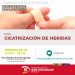Cicatrización de heridas