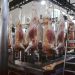 Carne: el Gobierno anunciará el nuevo esquema de exportación