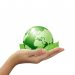 Diferentes actividades por el Mes del Ambiente