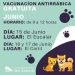 Vacunación Antirrábica en San Antonio
