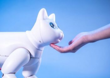 EL GATO ROBOT QUE BUSCA SER LA MASCOTA DEL FUTURO
