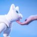 EL GATO ROBOT QUE BUSCA SER LA MASCOTA DEL FUTURO