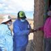 Se registraron en la provincia 288 nuevos casos positivos y siete fallecidos